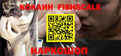 молекула духа Кингисепп