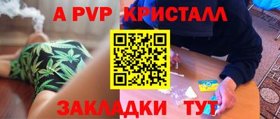 молекула духа Кингисепп