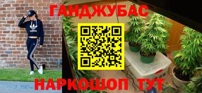 молекула духа Кингисепп