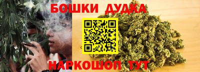 молекула духа Кингисепп