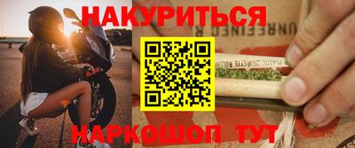 молекула духа Кингисепп