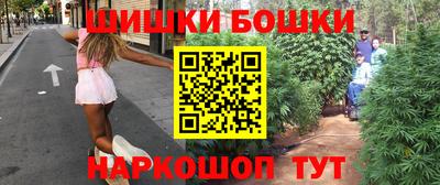 молекула духа Кингисепп