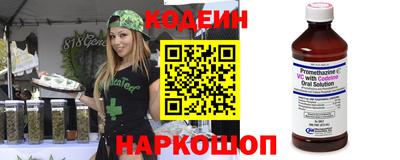 молекула духа Кингисепп