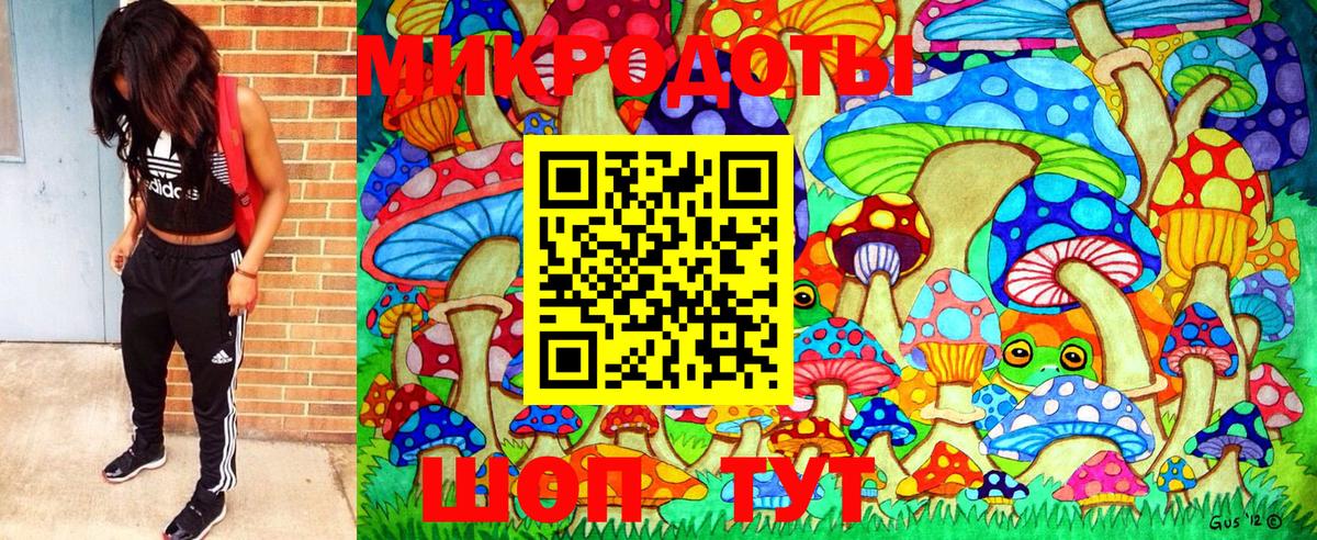 Псилоцибиновые грибы Cubensis Канаш
